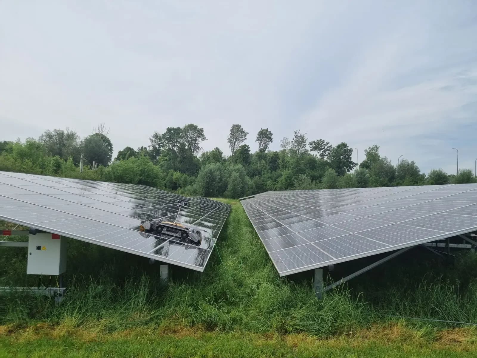 Freiflächenanlage mit Solarmodulen auf einer grünen Wiese