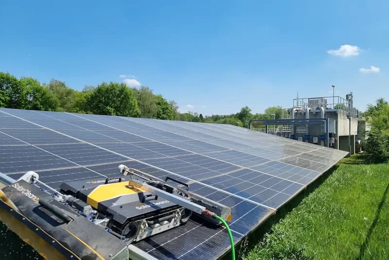 Zonnepanelen met korstmos (Voor reinigen)