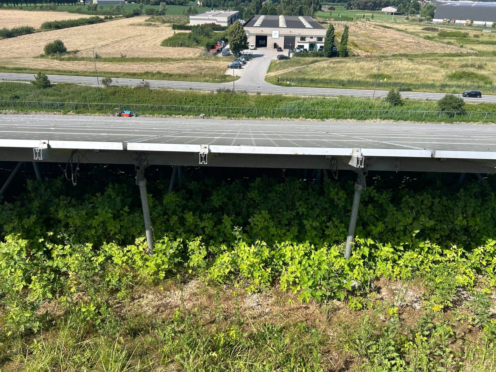 Groenonderhoud op een zonnepark (Voor groenonderhoud)