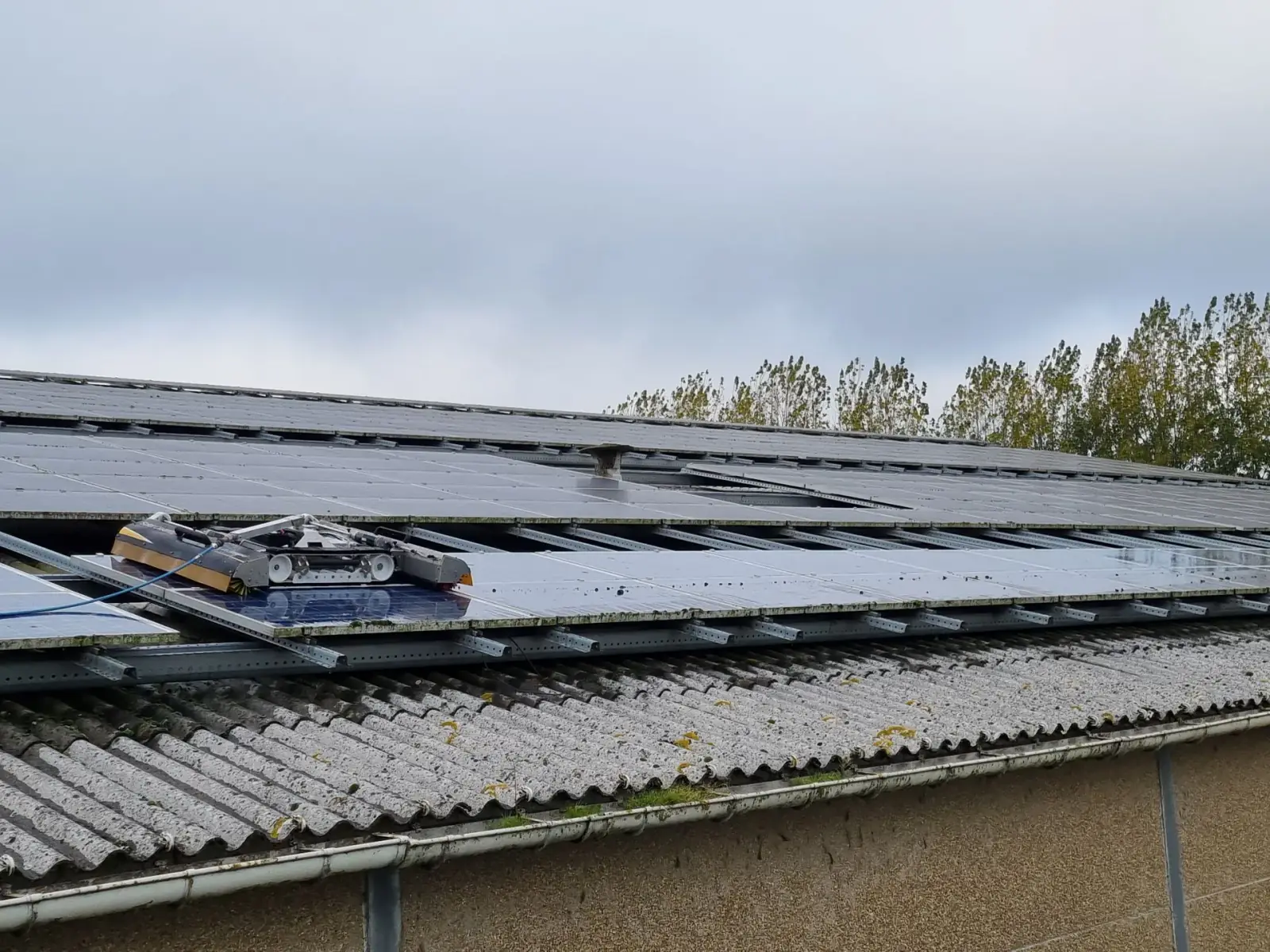 Robot de nettoyage sur le toit en tôle ondulée d’un hangar agricole équipé de panneaux solaires