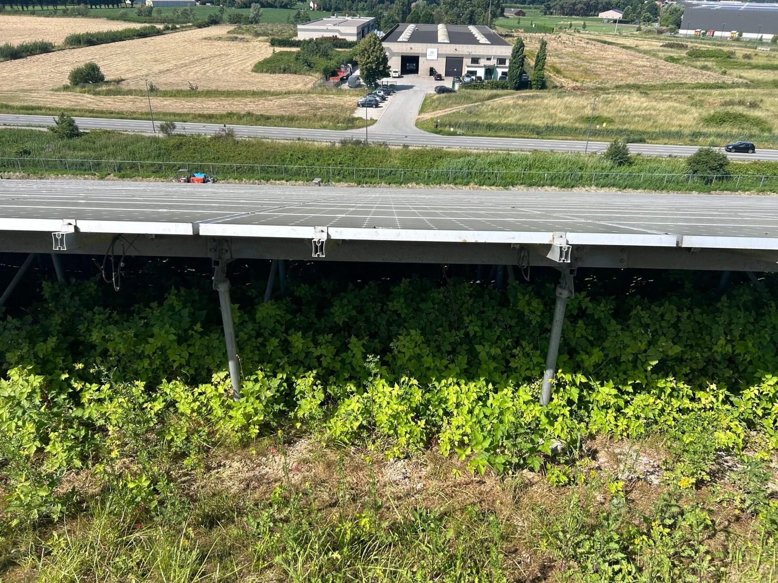 Groenonderhoud - VOOR